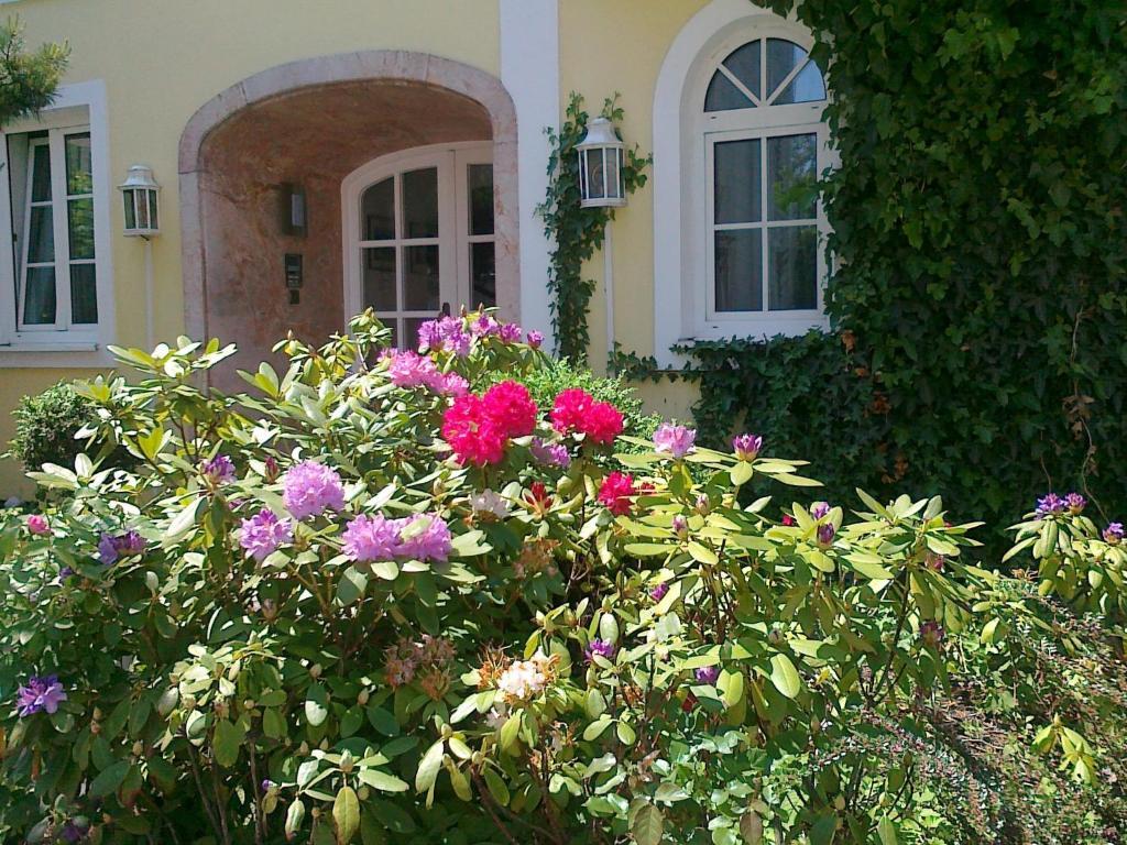Gaestehaus Auerhahn Vocklabruck Ngoại thất bức ảnh